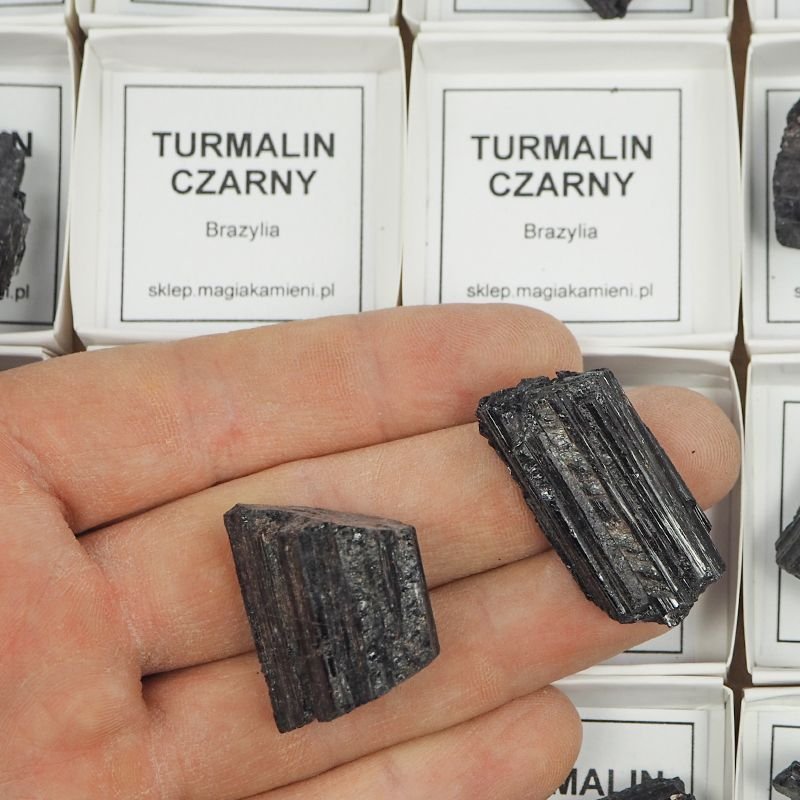 CZARNY TURMALIN - MINERAŁ W PUDEŁKU Z OPISEM - 20-38 mm - BRAZYLIA