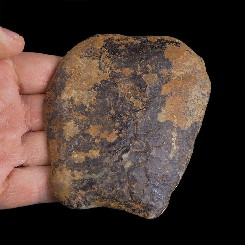 SEPTARIA POLIGONALNA 94mm - MAROKO