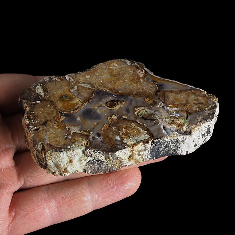 SKAMIENIAŁE DREWNO Z AGATEM - PLASTER - 87 mm - MADAGASKAR