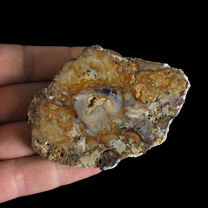 SKAMIENIAŁE DREWNO Z AGATEM - PLASTER - 79 mm - MADAGASKAR