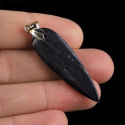 ORTHOCERAS - WISIOREK - 52 mm - DEWON - 390 MLN LAT