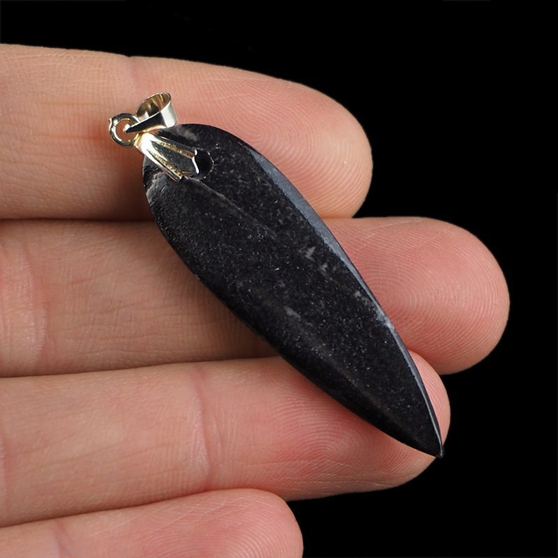 ORTHOCERAS - WISIOREK - 52 mm - DEWON - 390 MLN LAT