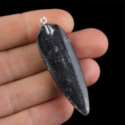 ORTHOCERAS - WISIOREK - 61 mm - DEWON - 390 MLN LAT