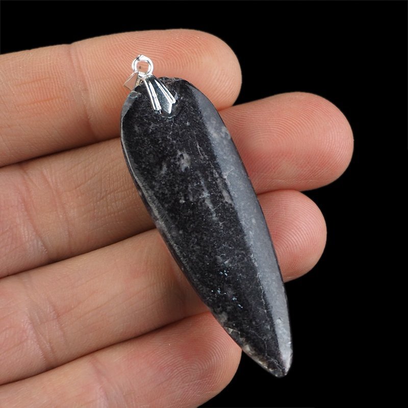 ORTHOCERAS - WISIOREK - 61 mm - DEWON - 390 MLN LAT