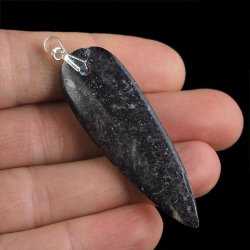 ORTHOCERAS - WISIOREK - 63 mm - DEWON - 390 MLN LAT