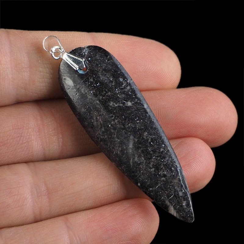 ORTHOCERAS - WISIOREK - 63 mm - DEWON - 390 MLN LAT