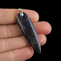 ORTHOCERAS - WISIOREK - 62 mm - DEWON - 390 MLN LAT