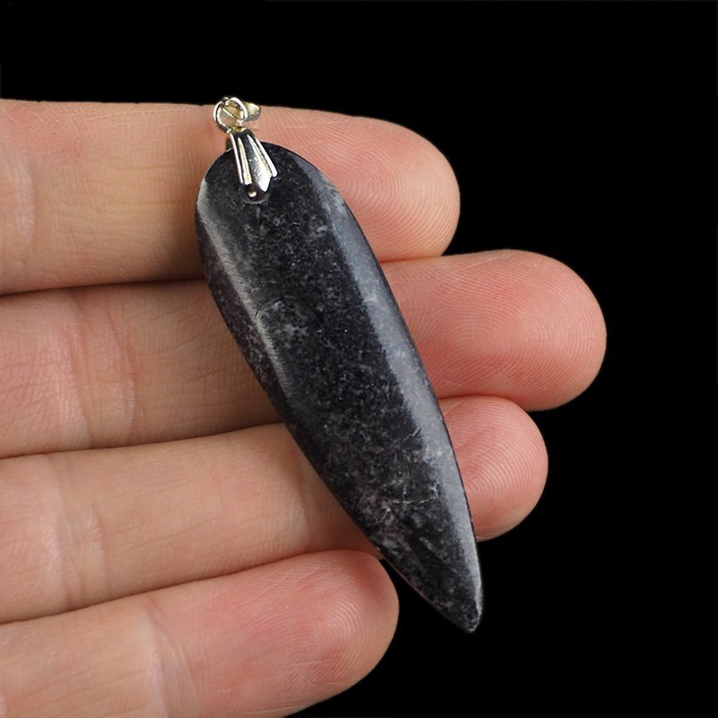 ORTHOCERAS - WISIOREK - 62 mm - DEWON - 390 MLN LAT