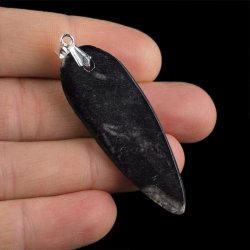 ORTHOCERAS - WISIOREK - 61 mm - DEWON - 390 MLN LAT