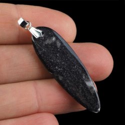 ORTHOCERAS - WISIOREK - 53 mm - DEWON - 390 MLN LAT