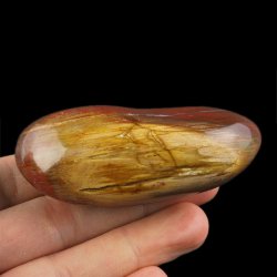 SKAMIENIAŁE DREWNO - OTOCZAK - 95 mm - MADAGASKAR