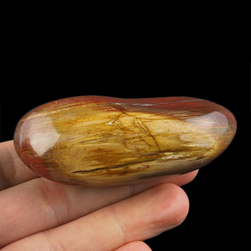 SKAMIENIAŁE DREWNO - OTOCZAK - 95 mm - MADAGASKAR