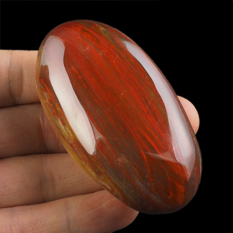 SKAMIENIAŁE DREWNO - OTOCZAK - 95 mm - MADAGASKAR