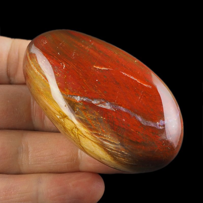 SKAMIENIAŁE DREWNO - OTOCZAK - 95 mm - MADAGASKAR