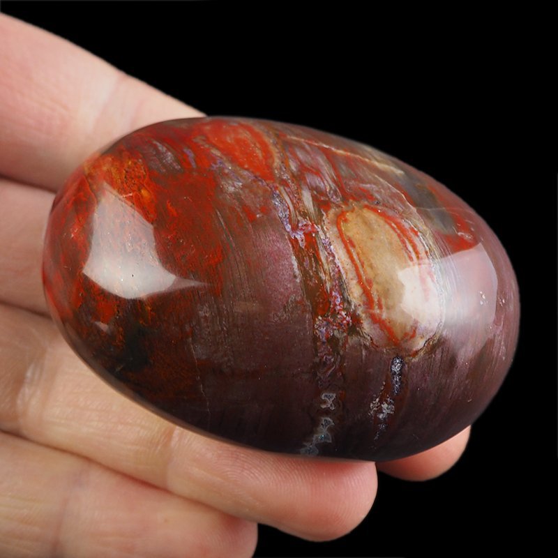 SKAMIENIAŁE DREWNO - OTOCZAK - 65 mm - MADAGASKAR