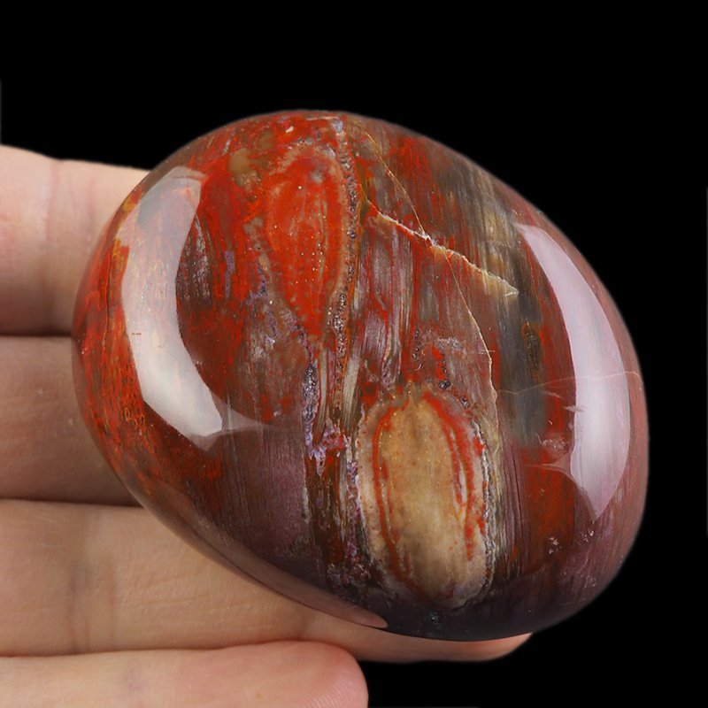 SKAMIENIAŁE DREWNO - OTOCZAK - 65 mm - MADAGASKAR