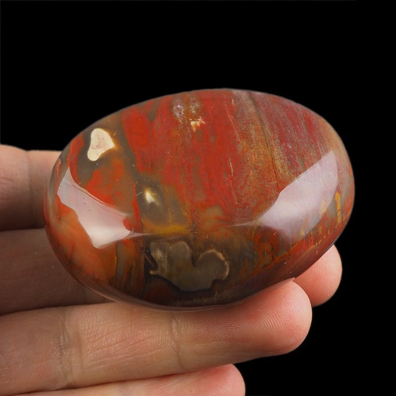 SKAMIENIAŁE DREWNO - OTOCZAK - 62 mm - MADAGASKAR