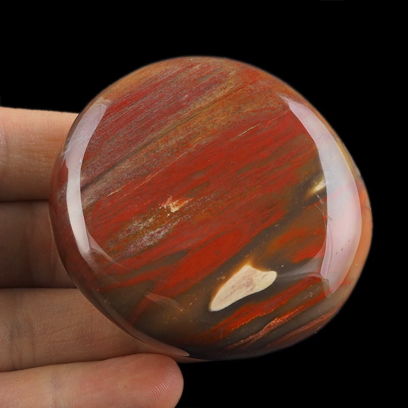SKAMIENIAŁE DREWNO - OTOCZAK - 62 mm - MADAGASKAR