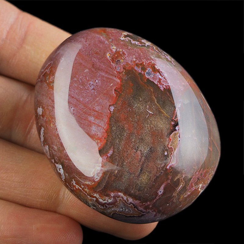 SKAMIENIAŁE DREWNO - OTOCZAK - 55 mm - MADAGASKAR