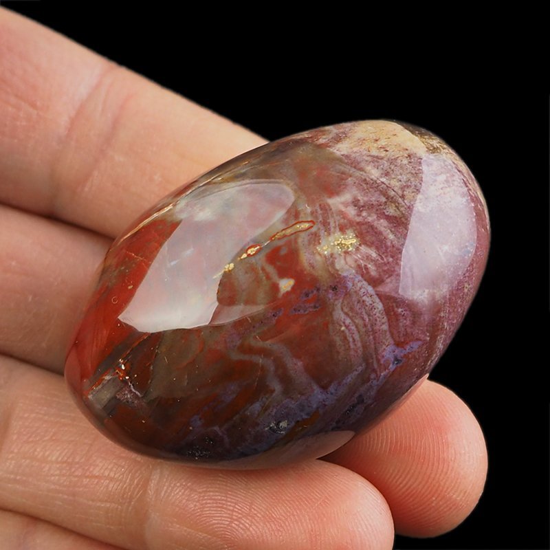SKAMIENIAŁE DREWNO - OTOCZAK - 50 mm - MADAGASKAR