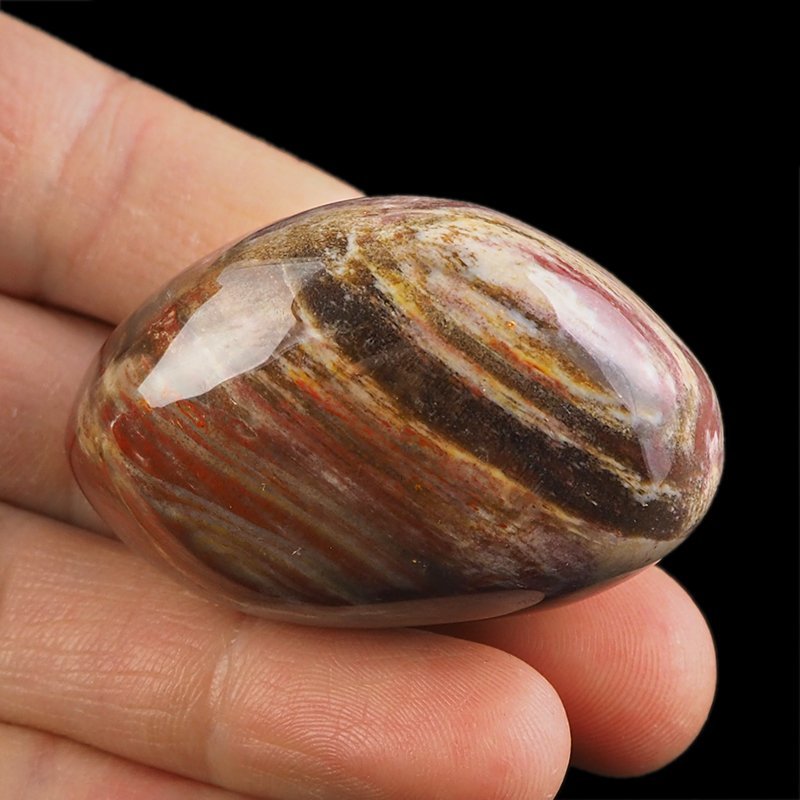 SKAMIENIAŁE DREWNO - OTOCZAK - 50 mm - MADAGASKAR