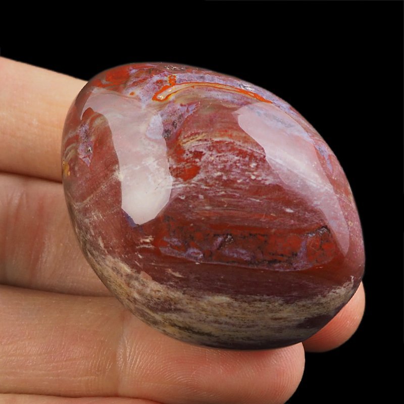 SKAMIENIAŁE DREWNO - OTOCZAK - 50 mm - MADAGASKAR