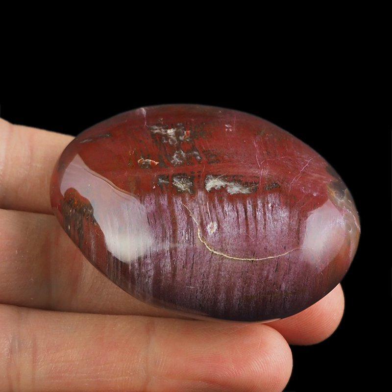 SKAMIENIAŁE DREWNO - OTOCZAK - 60 mm - MADAGASKAR