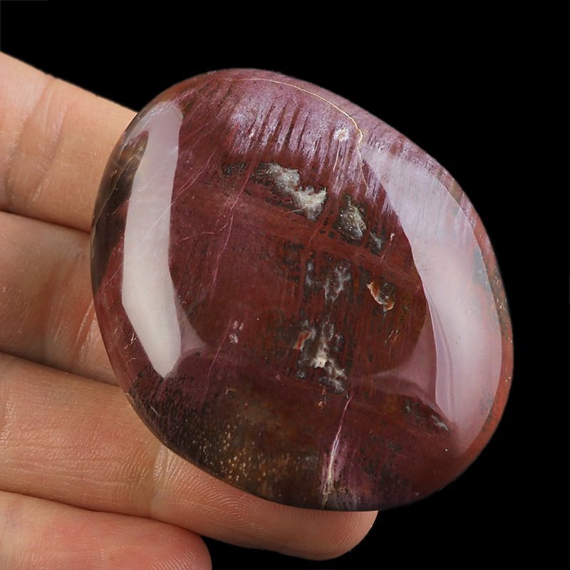 SKAMIENIAŁE DREWNO - OTOCZAK - 60 mm - MADAGASKAR