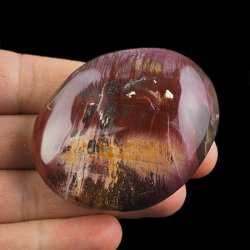 SKAMIENIAŁE DREWNO - OTOCZAK - 60 mm - MADAGASKAR