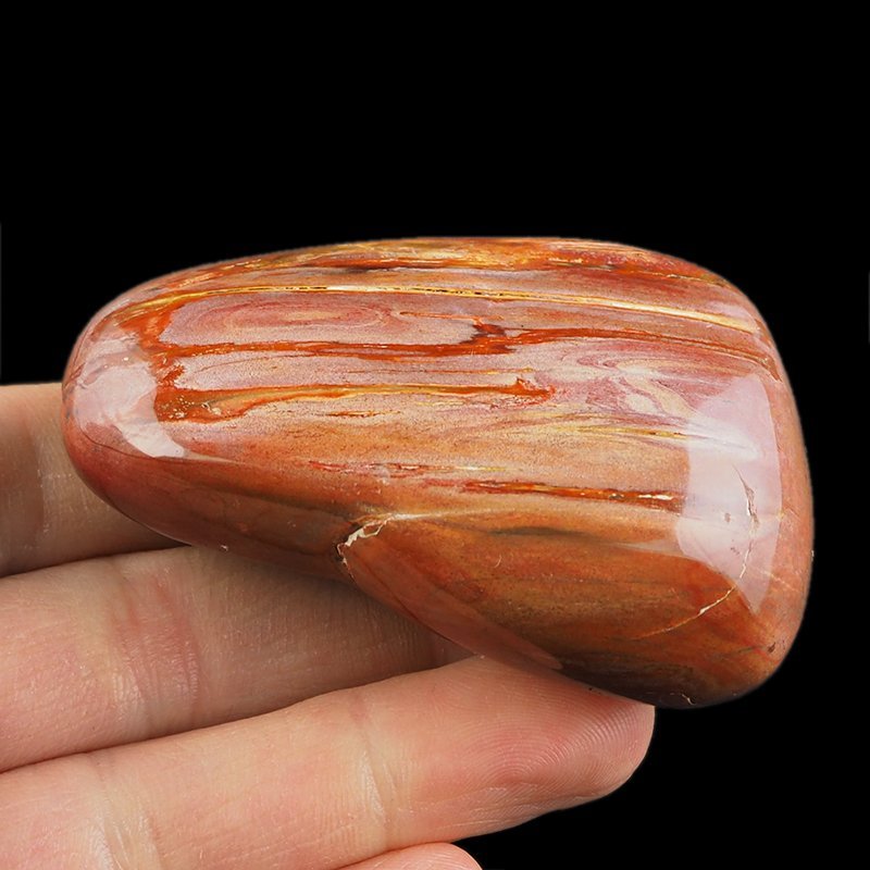 SKAMIENIAŁE DREWNO - OTOCZAK - 68 mm - MADAGASKAR