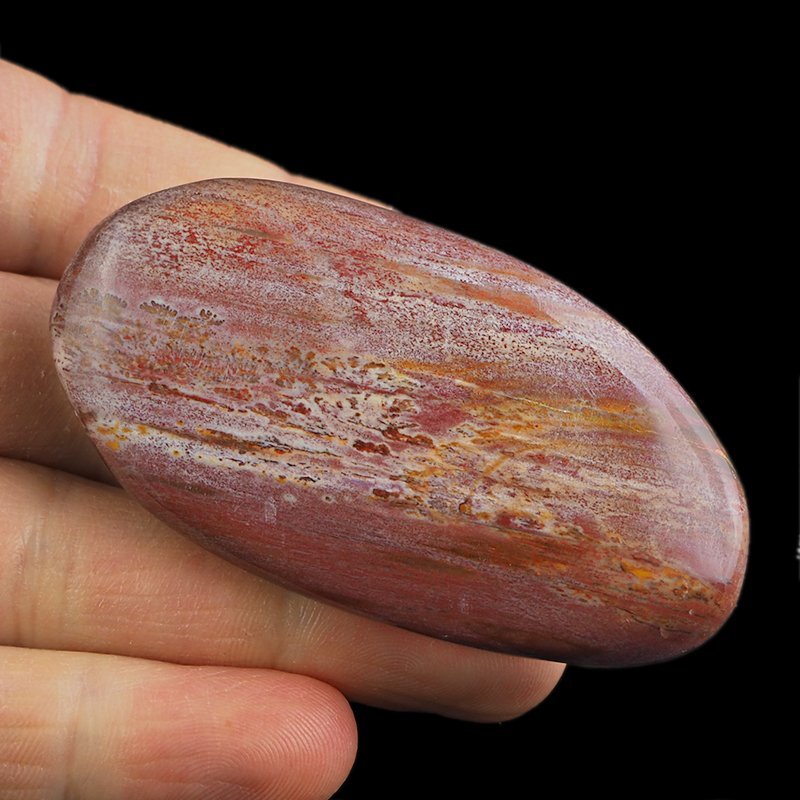 SKAMIENIAŁE DREWNO - OTOCZAK - 69 mm - MADAGASKAR