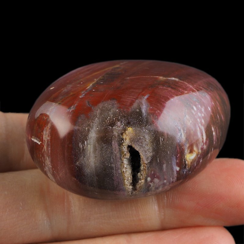 SKAMIENIAŁE DREWNO - OTOCZAK - 52 mm - MADAGASKAR