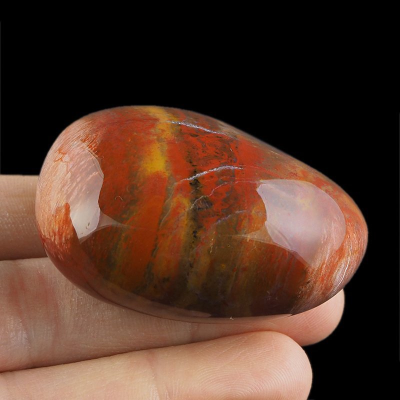 SKAMIENIAŁE DREWNO - OTOCZAK - 54 mm - MADAGASKAR