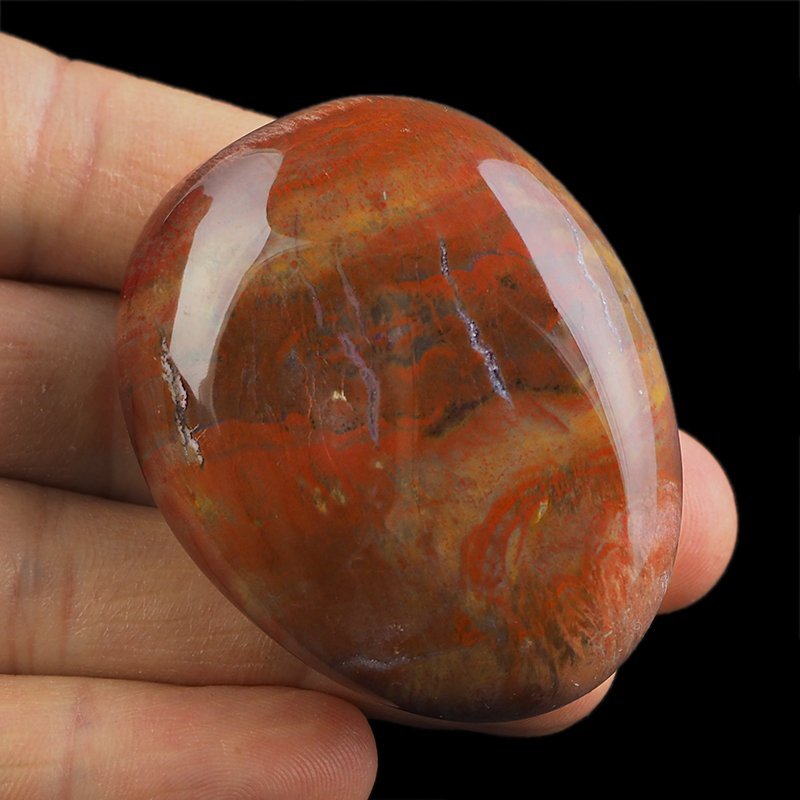 SKAMIENIAŁE DREWNO - OTOCZAK - 54 mm - MADAGASKAR