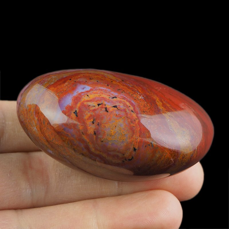 SKAMIENIAŁE DREWNO - OTOCZAK - 60 mm - MADAGASKAR