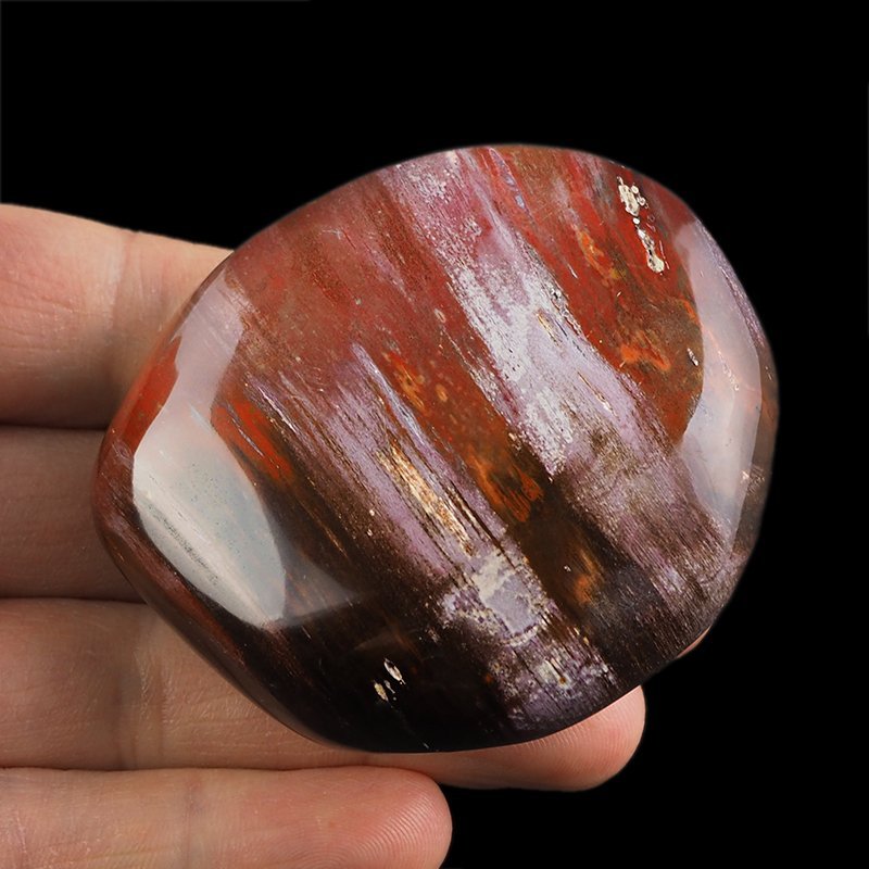SKAMIENIAŁE DREWNO - OTOCZAK - 65 mm - MADAGASKAR