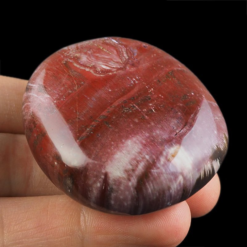 SKAMIENIAŁE DREWNO - OTOCZAK - 56 mm - MADAGASKAR
