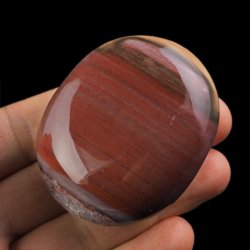 SKAMIENIAŁE DREWNO - OTOCZAK - 58 mm - MADAGASKAR
