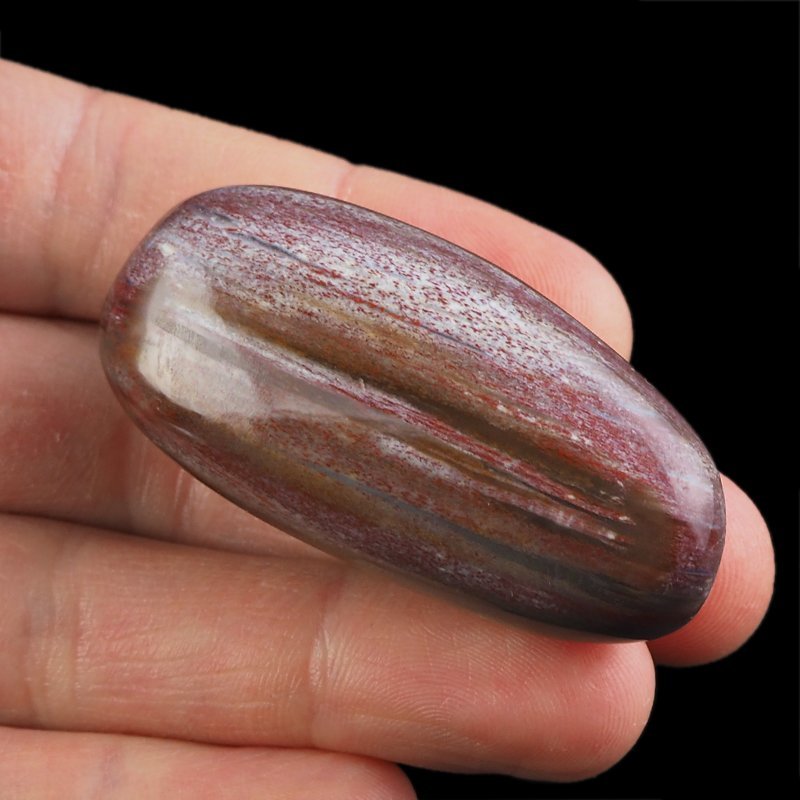 SKAMIENIAŁE DREWNO - OTOCZAK - 55 mm - MADAGASKAR