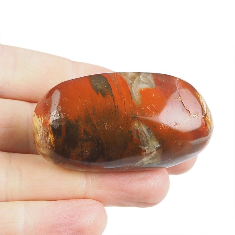 SKAMIENIAŁE DREWNO - OTOCZAK - 56 mm - MADAGASKAR