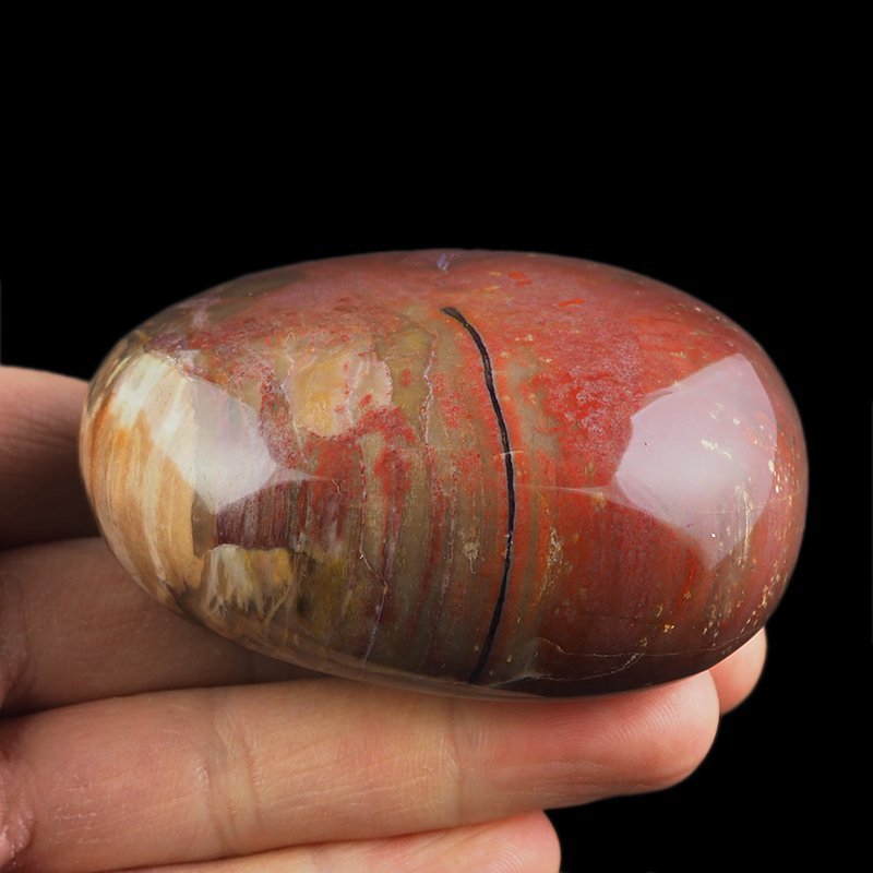 SKAMIENIAŁE DREWNO - OTOCZAK - 72 mm - MADAGASKAR