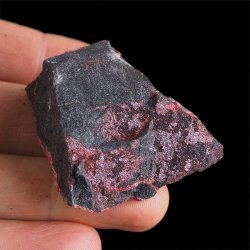 CYNOBER - 50 mm - HISZPANIA