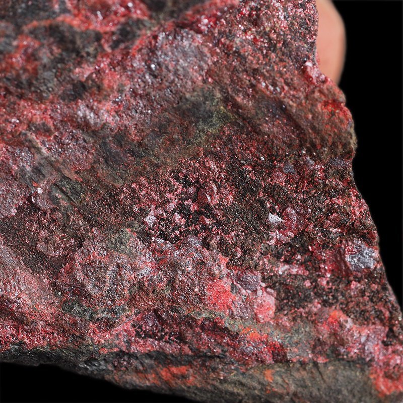 CYNOBER - 50 mm - HISZPANIA