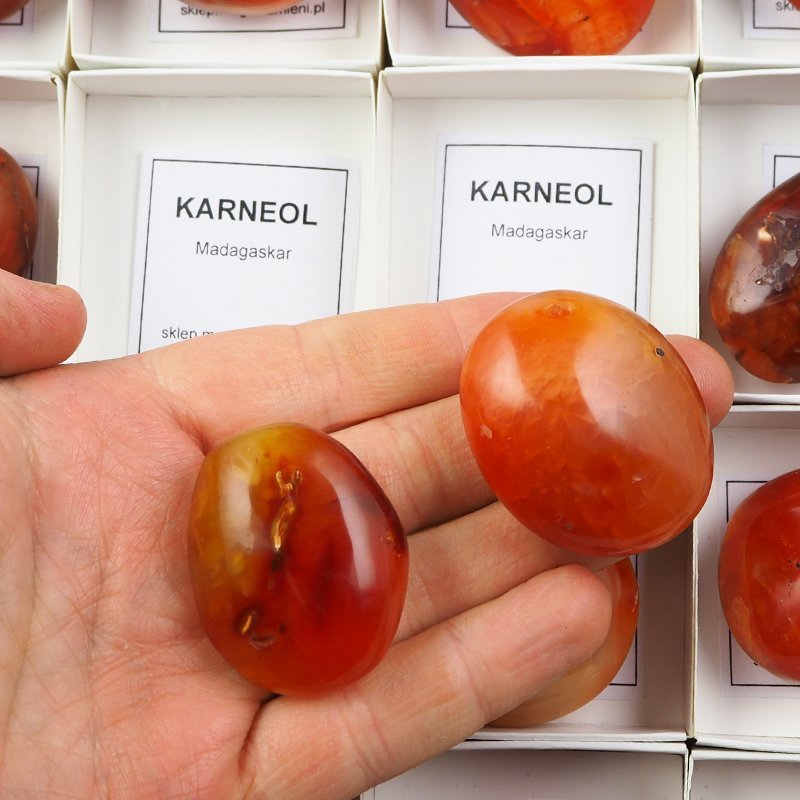 KARNEOL - OTOCZAK W PUDEŁKU Z OPISEM - 35-50 mm - MADAGASKAR