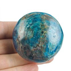 APATYT NIEBIESKI - OTOCZAK - 54 mm - MADAGASKAR