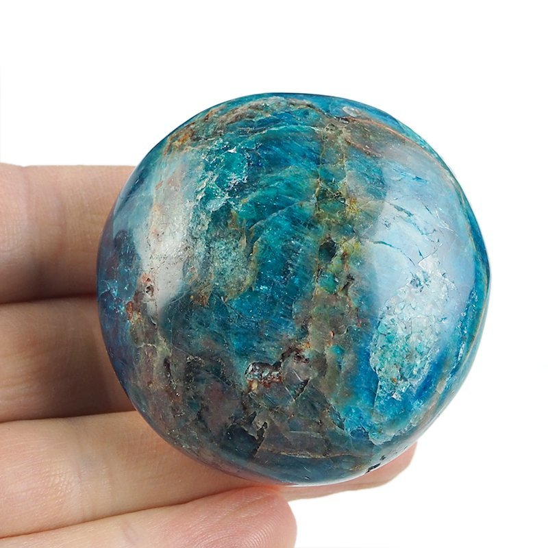 APATYT NIEBIESKI - OTOCZAK - 54 mm - MADAGASKAR