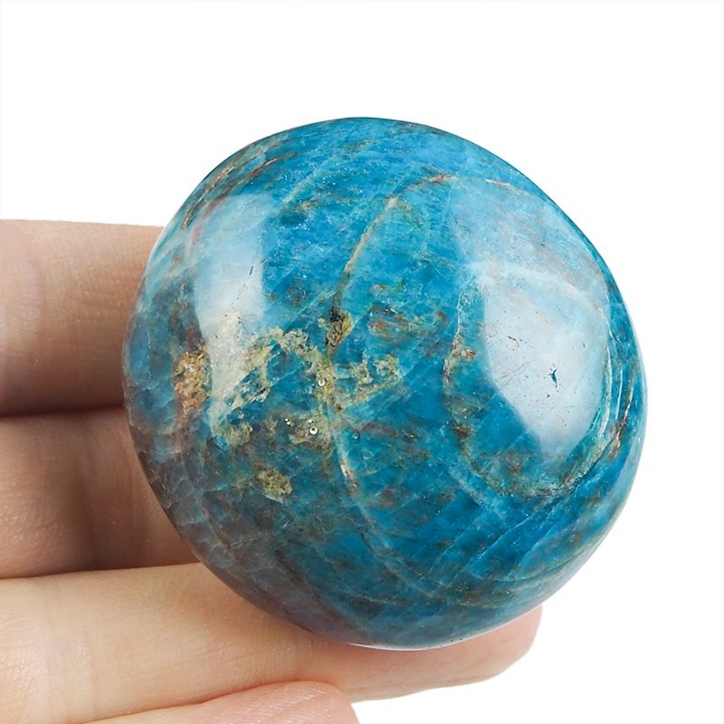 APATYT NIEBIESKI - OTOCZAK - 52 mm - MADAGASKAR