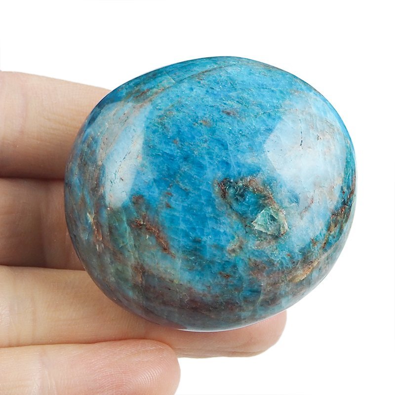 APATYT NIEBIESKI - OTOCZAK - 52 mm - MADAGASKAR