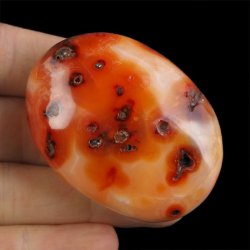 KARNEOL, AGAT - OTOCZAK - 57 mm - MADAGASKAR