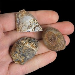 AGAT - ZESTAW TRZECH GEODEK - 29-36 mm  - BRAZYLIA